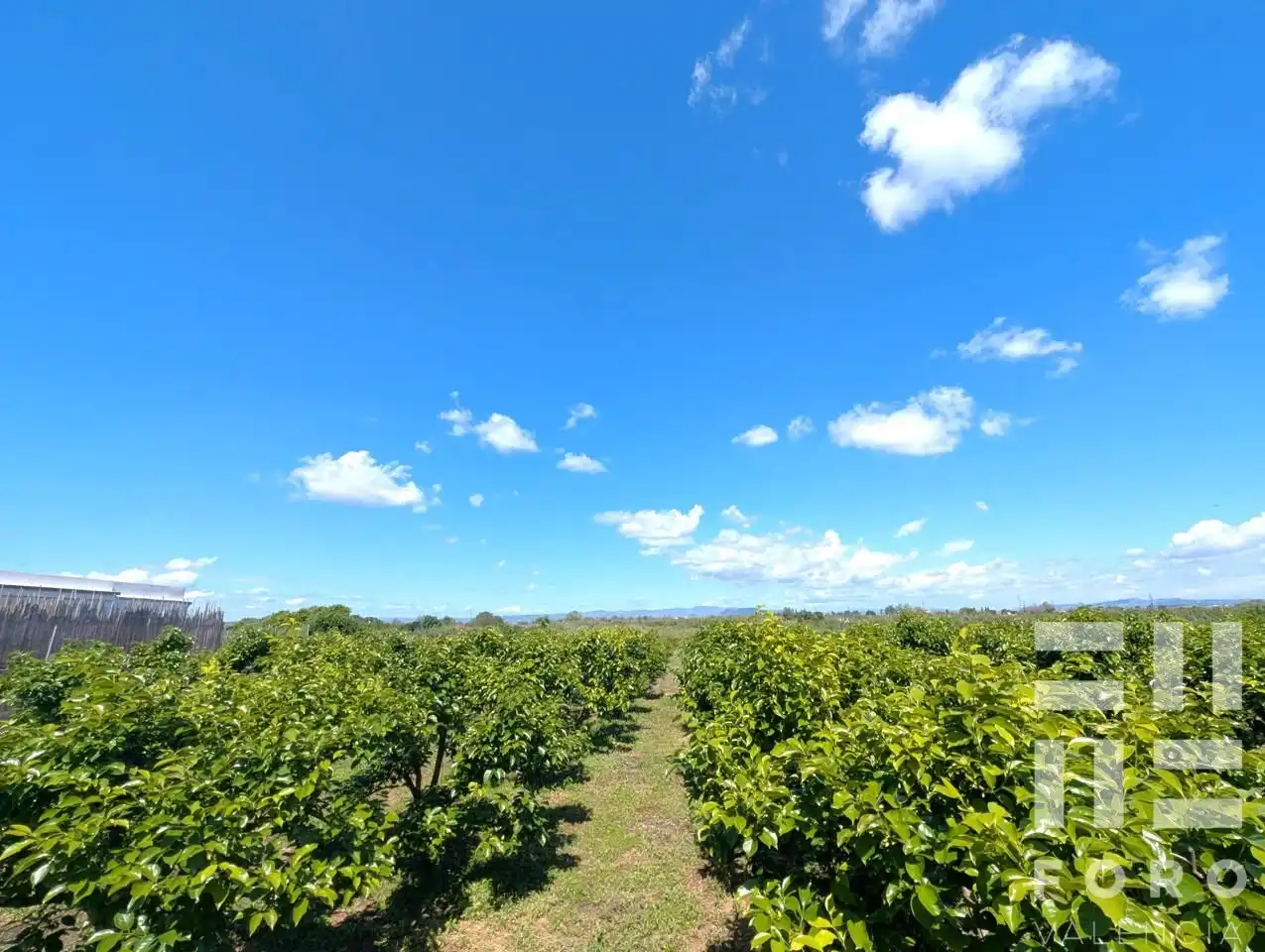 Finca rústica en venta en Alzira con Jardín privado, Balcón y Internet