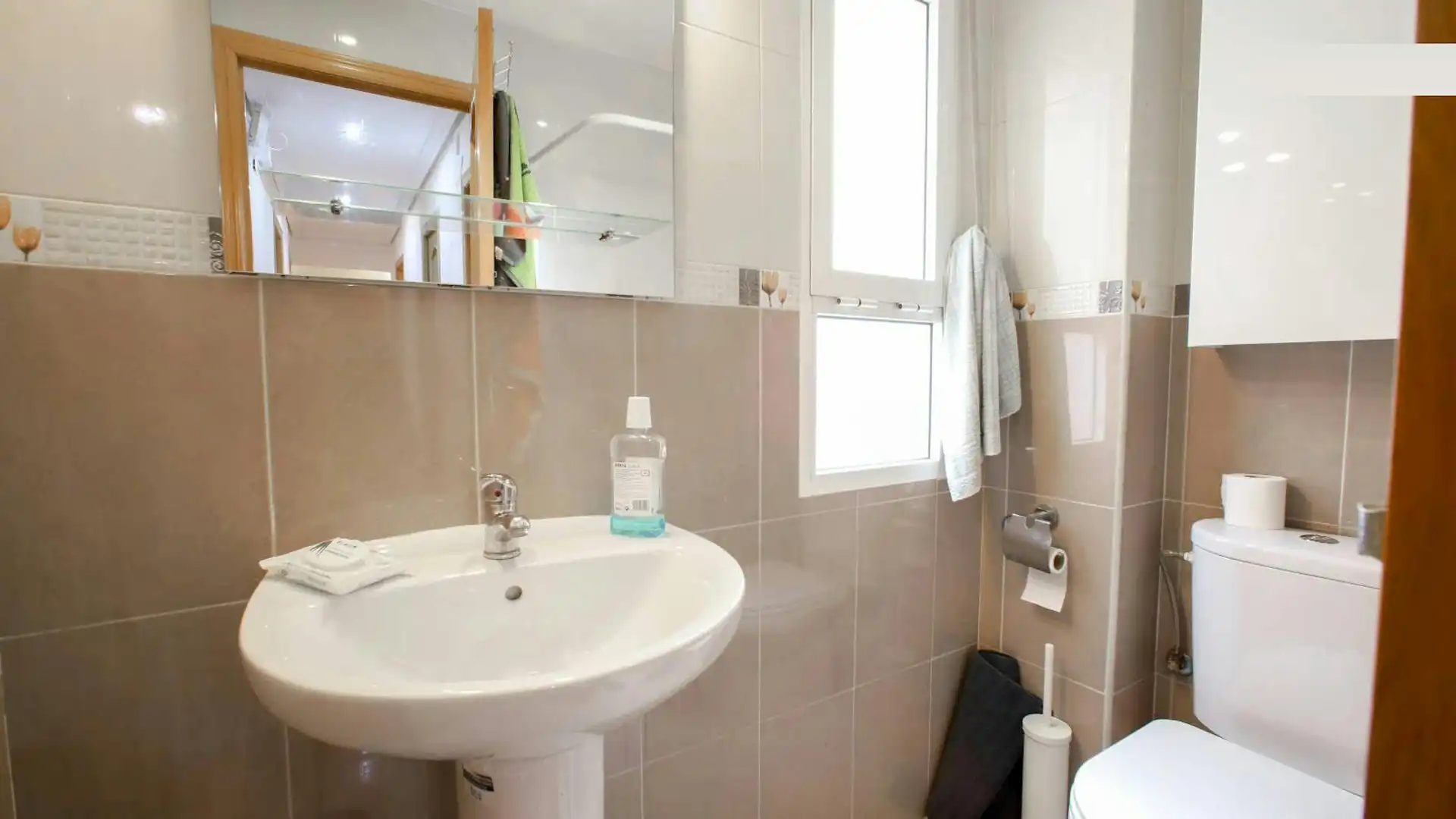 Bathroom of Flat for share in Valencia  with Washing machine and Pets allowed