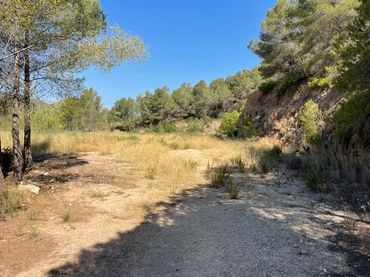 Terrenys i solars en venda a Callosa d'en Sarrià