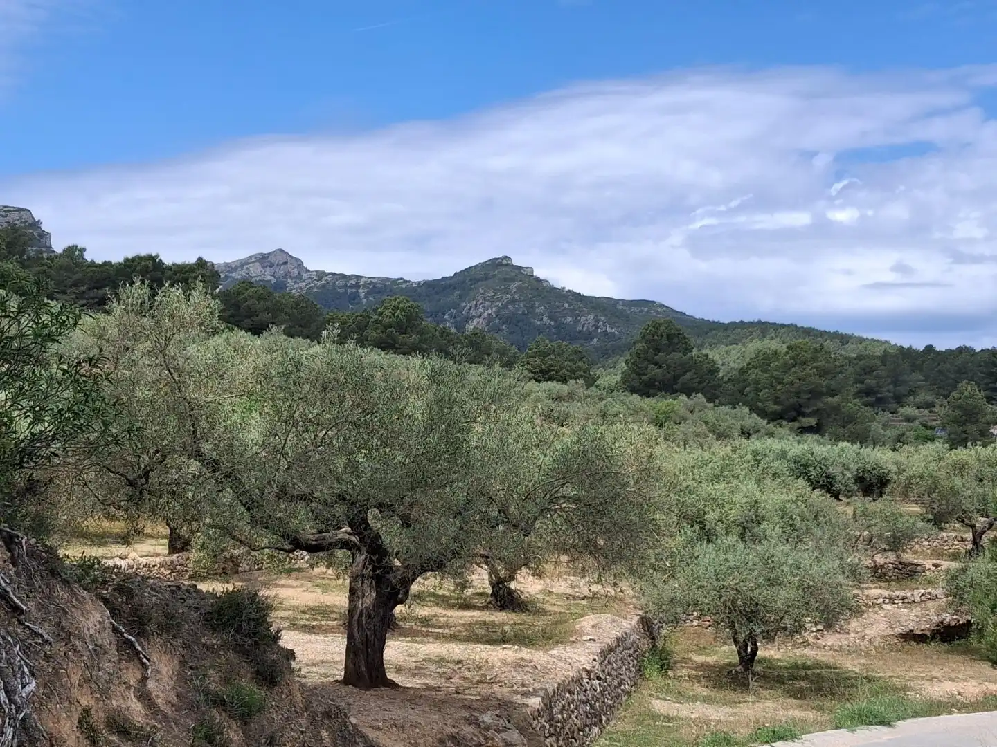 Terreno rustico in vendita a El Perelló, imagen 32