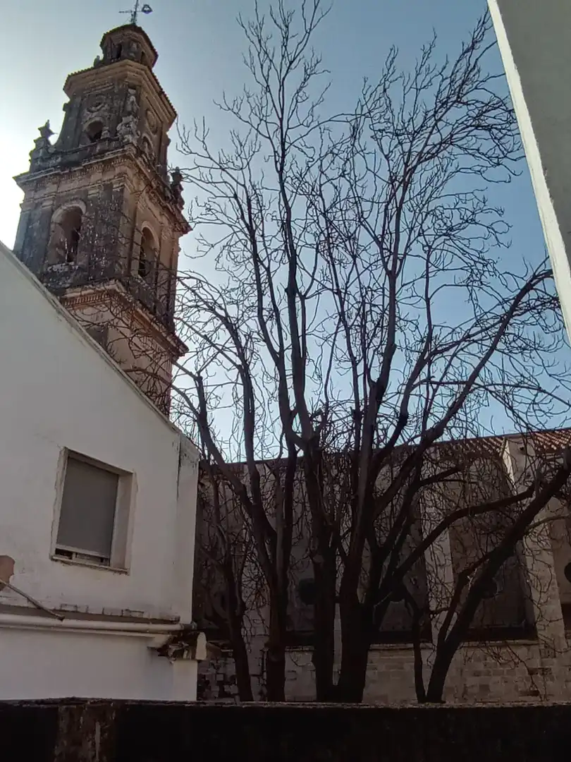 Casa en venda a Carrer de Gutiérrez Mas, imagen 18