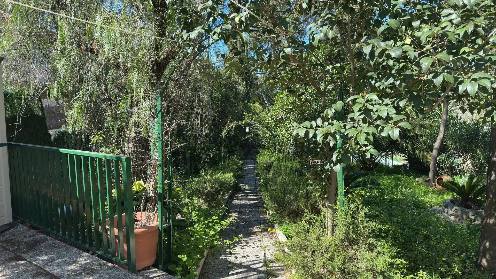 Finca rústica en venta en Santo Angel