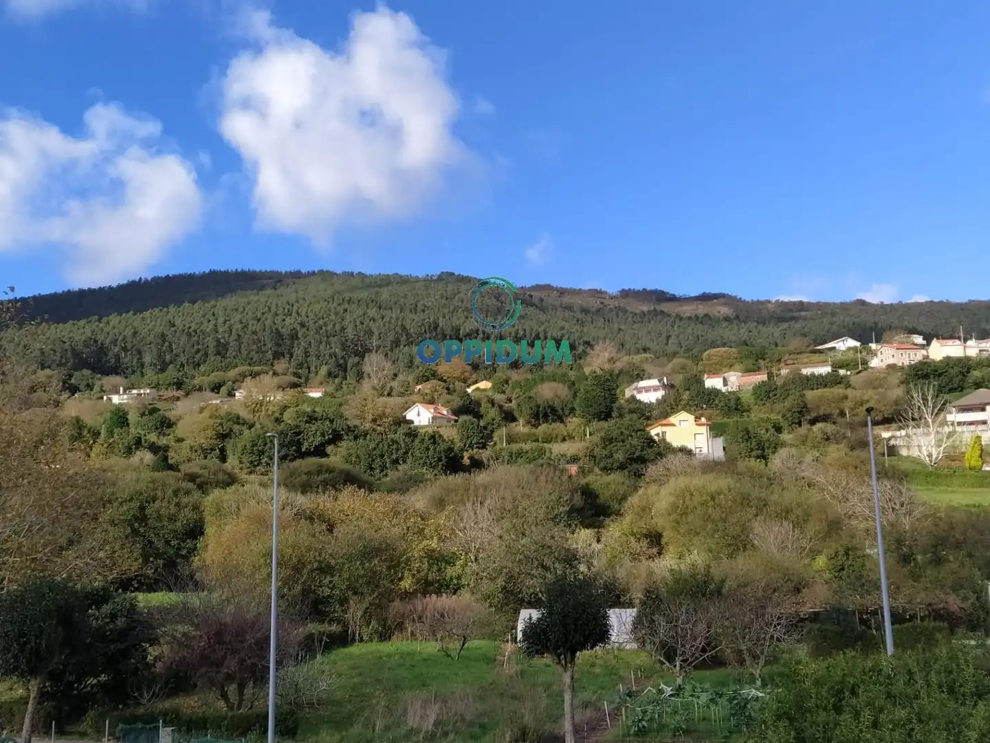 Chalet con jardín en venta en PEREZ LUGIN, imagen 19