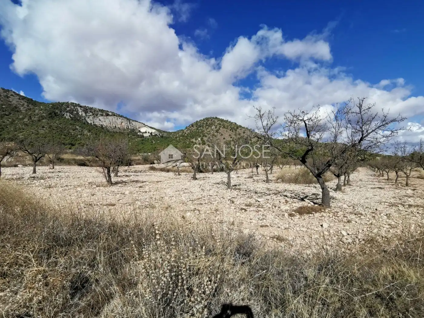 TERRENOS EN MONOVAR ZONA CAVA FRIA CERCA DE ROMANETA, imatge 4