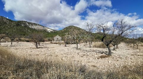TERRENOS EN MONOVAR ZONA CAVA FRIA CERCA DE ROMANETA, imatge 4