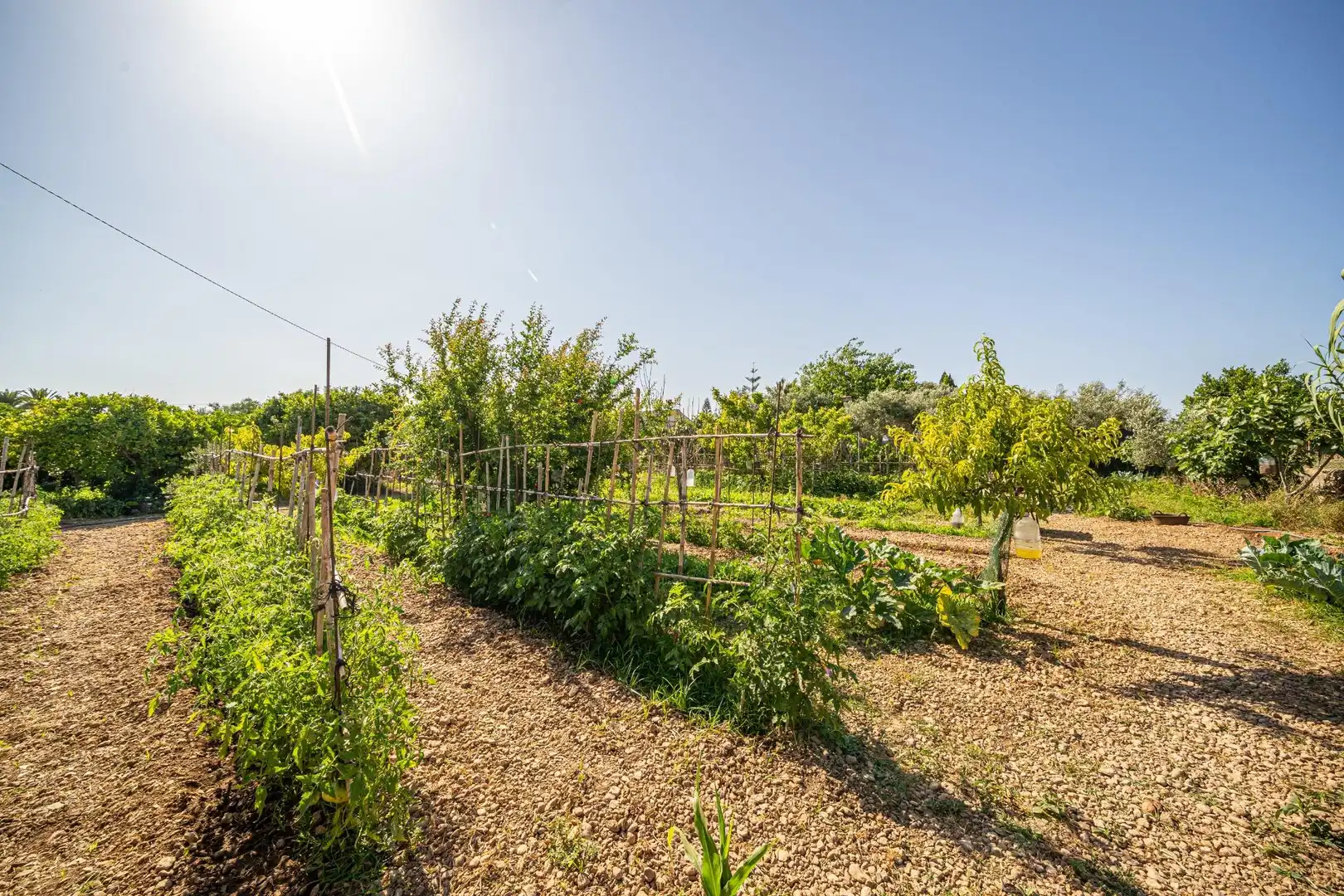 Finca rústica en venta en  Palma de Mallorca con Aire acondicionado, Calefacción y Jardín privado