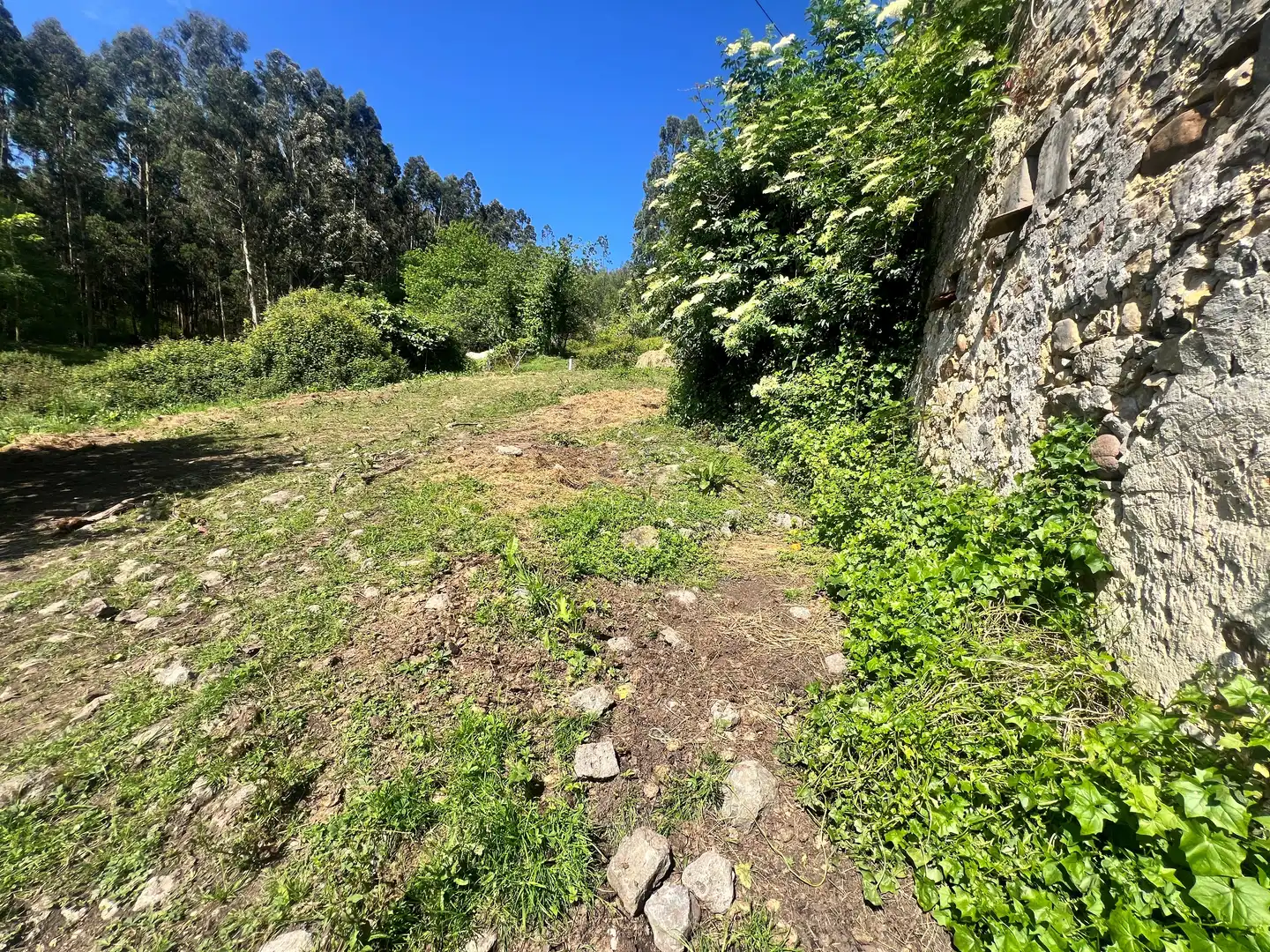 Einfamilien-Reihenhaus zum Verkauf in Castrillón
