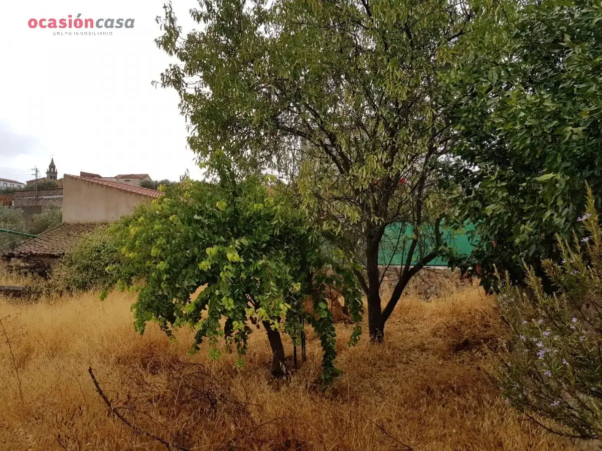 Casa o chalet en venta en Pedroche con Calefacción, Jardín privado y Trastero