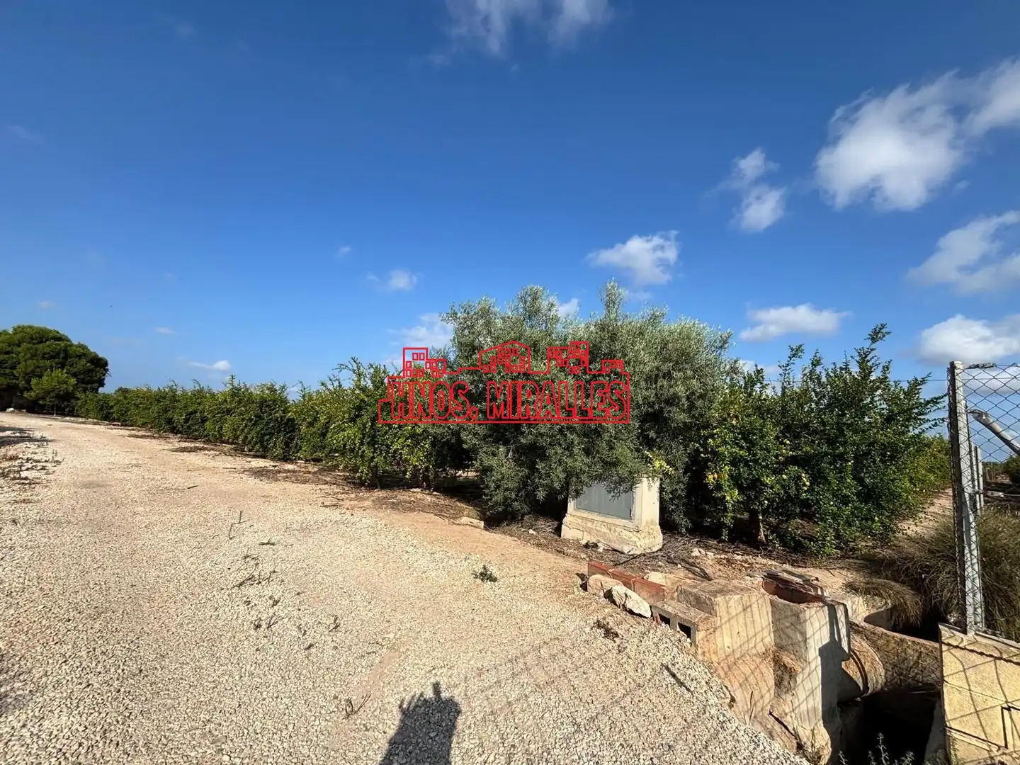 Rural land for sale in Las Bayas