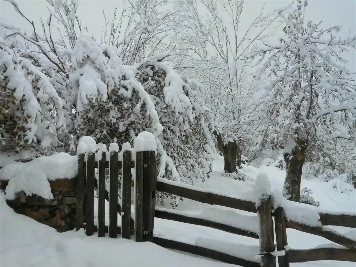 Jardí de Casa o xalet en venda en Sobrescobio