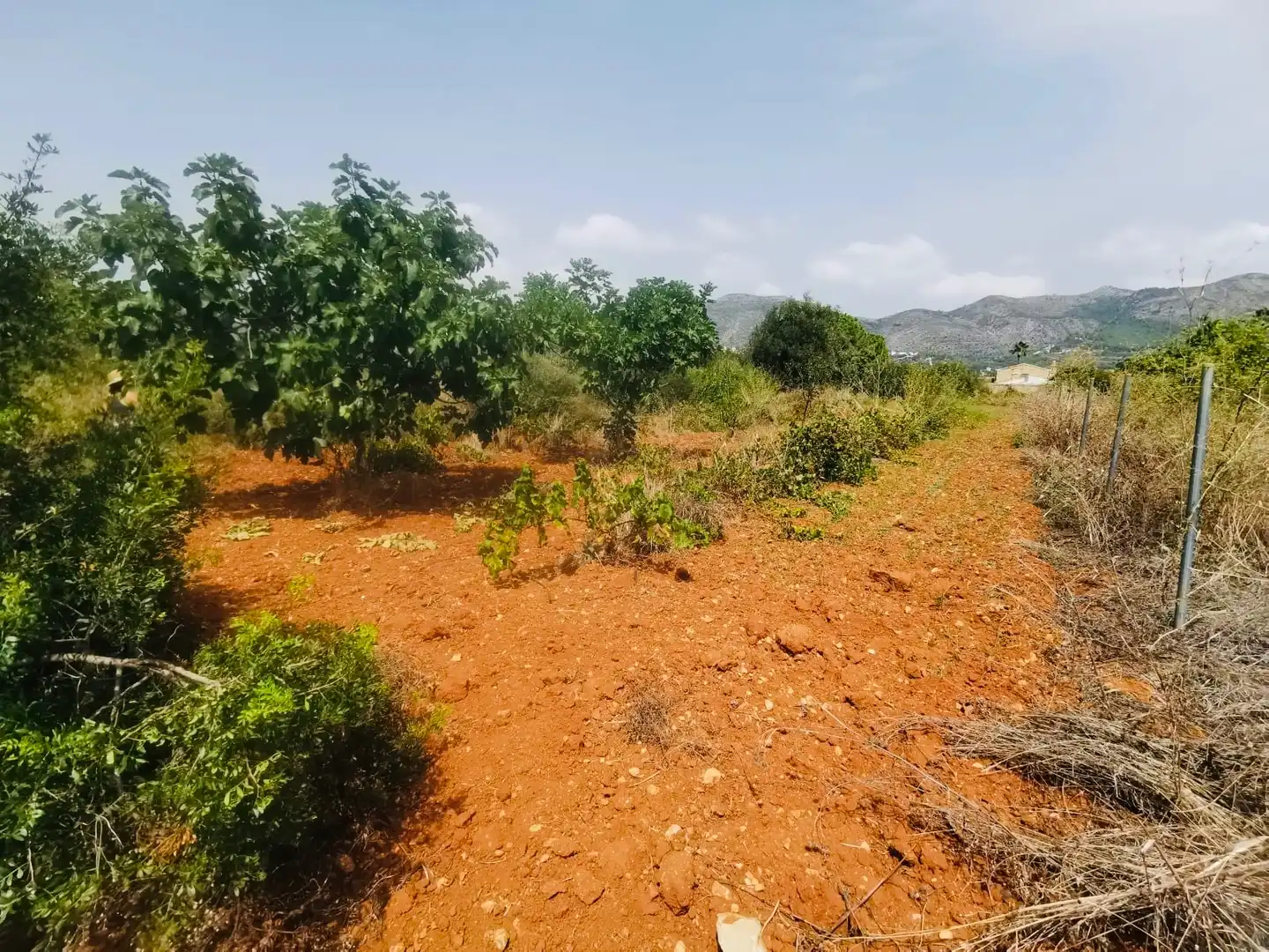 Villa avec jardin à vendre à Xaló, imagen 16