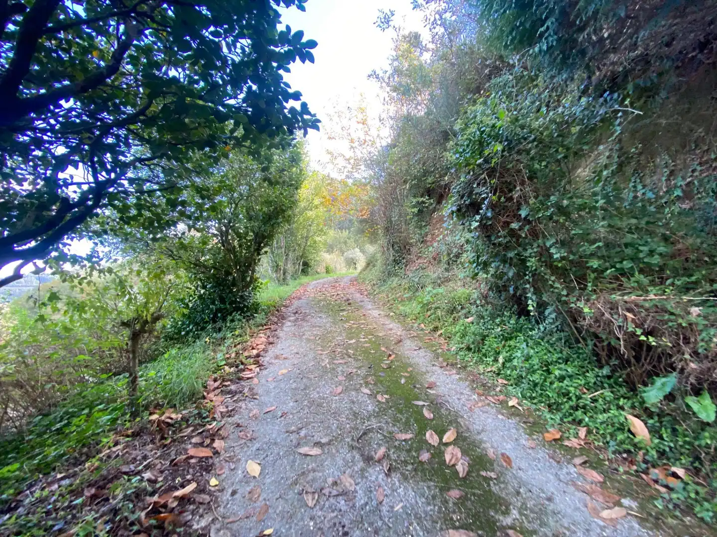 Casa o chalet en venta en Caldas de Reis