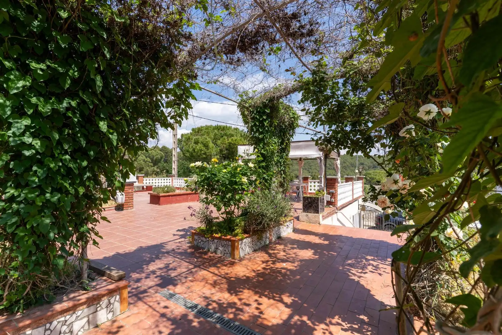 Finca rústica en venta en Olesa de Montserrat