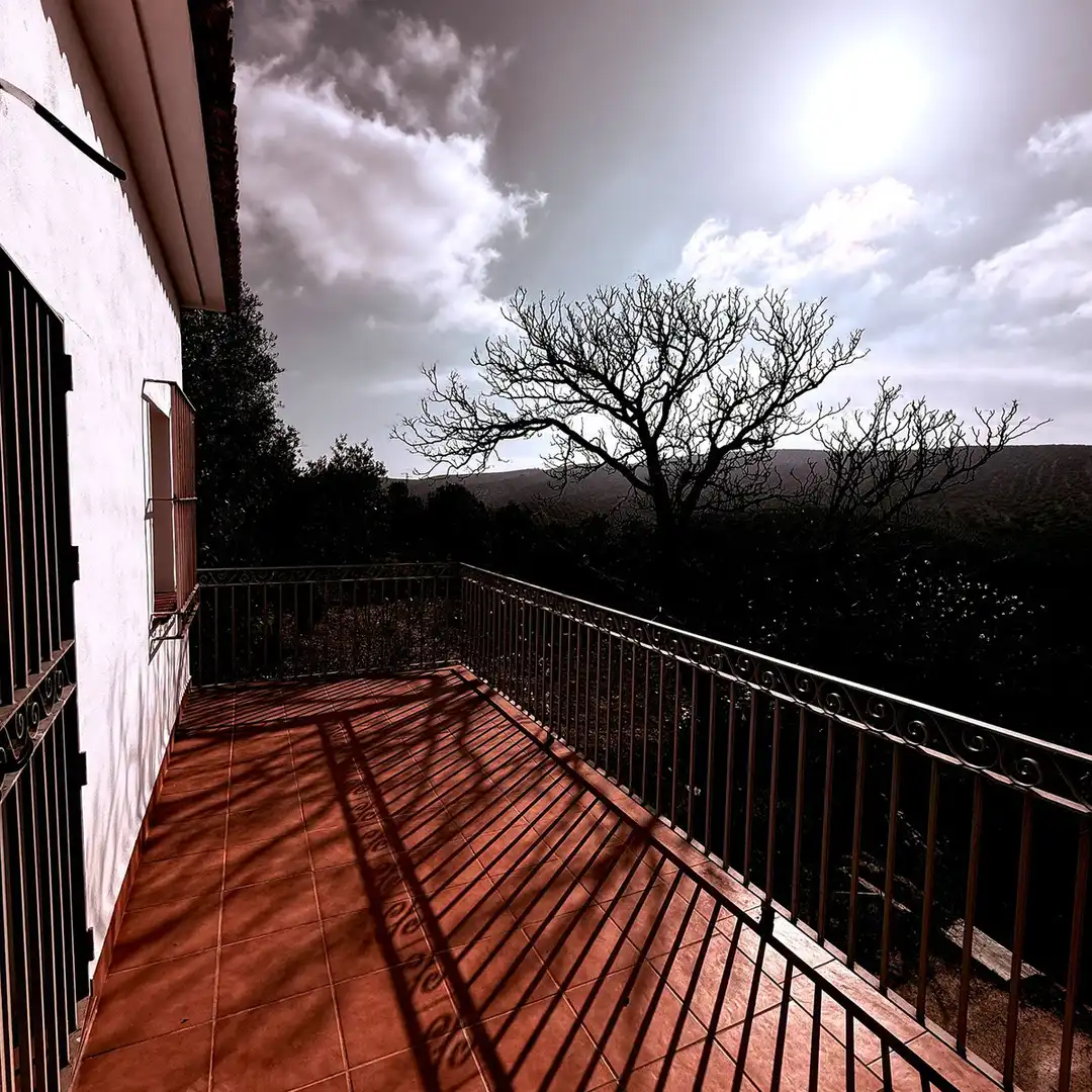 Terraza de Casa o chalet en venta en Villanueva de Algaidas con Jardín privado y Terraza