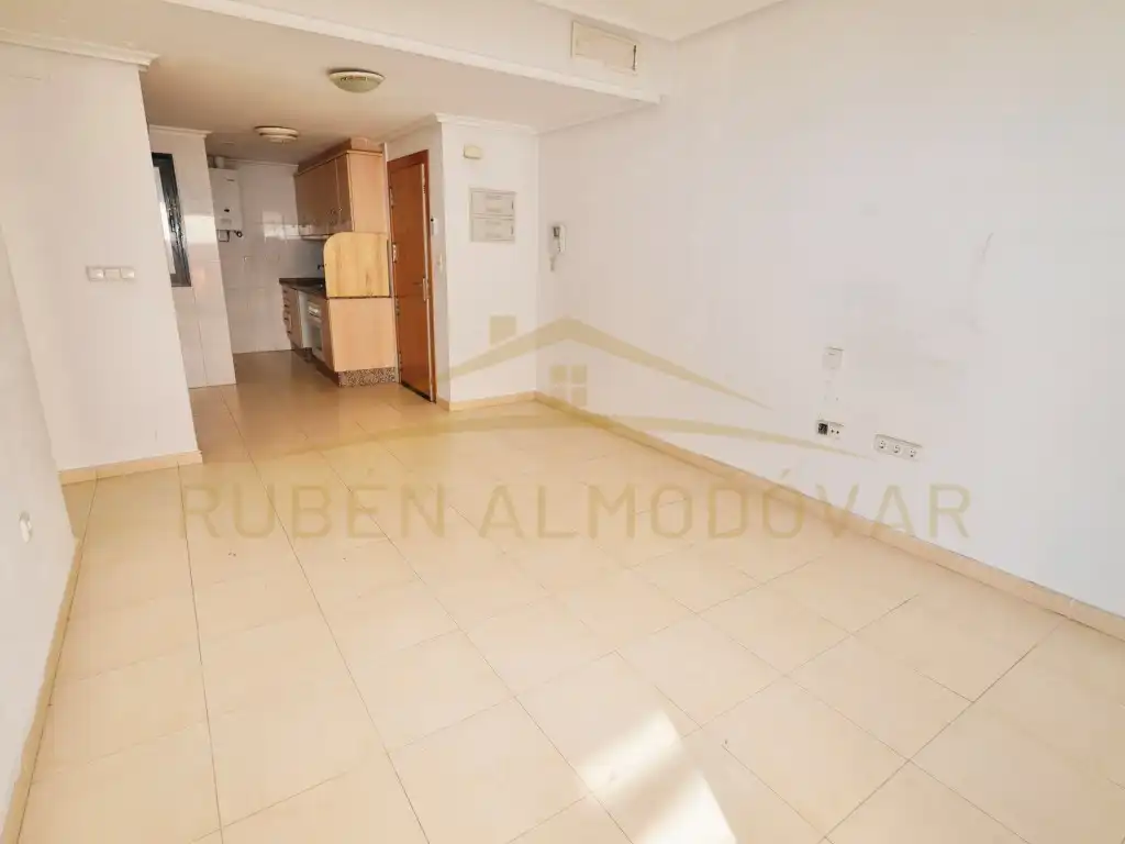 Flat with lift for sale in Paseo Calvo Sotelo 10