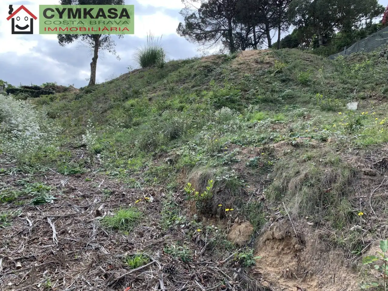 Residential land for sale in Montbarbat, imagen 7