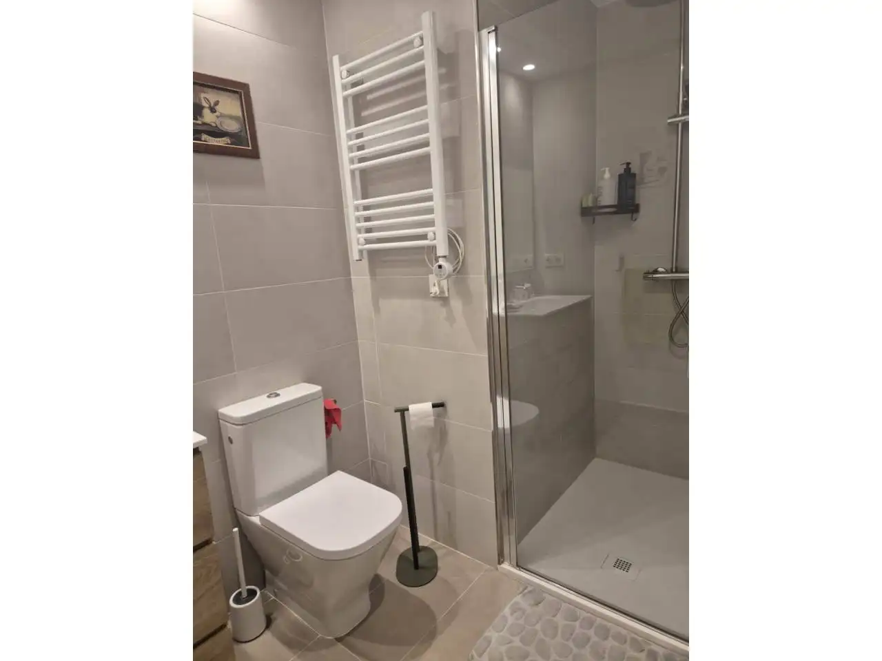 Bathroom of Flat for rent in Santa Maria - L'Eixample - Sud Sumella