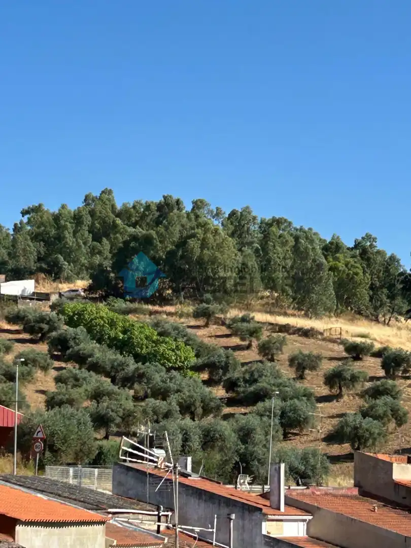 Casa adosada en venta en Salvaleón con Amueblado