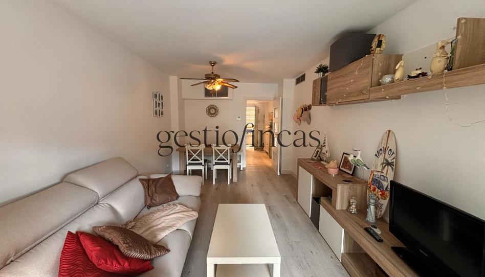 Photo 1 of Flat to rent in Avenida Diputacion, Regueral - Prat d'en Forés, Tarragona