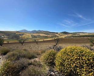 Vista exterior de Terreny en venda en Antequera