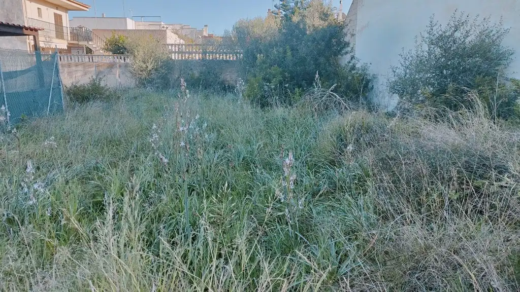 Land for sale in Llucmajor