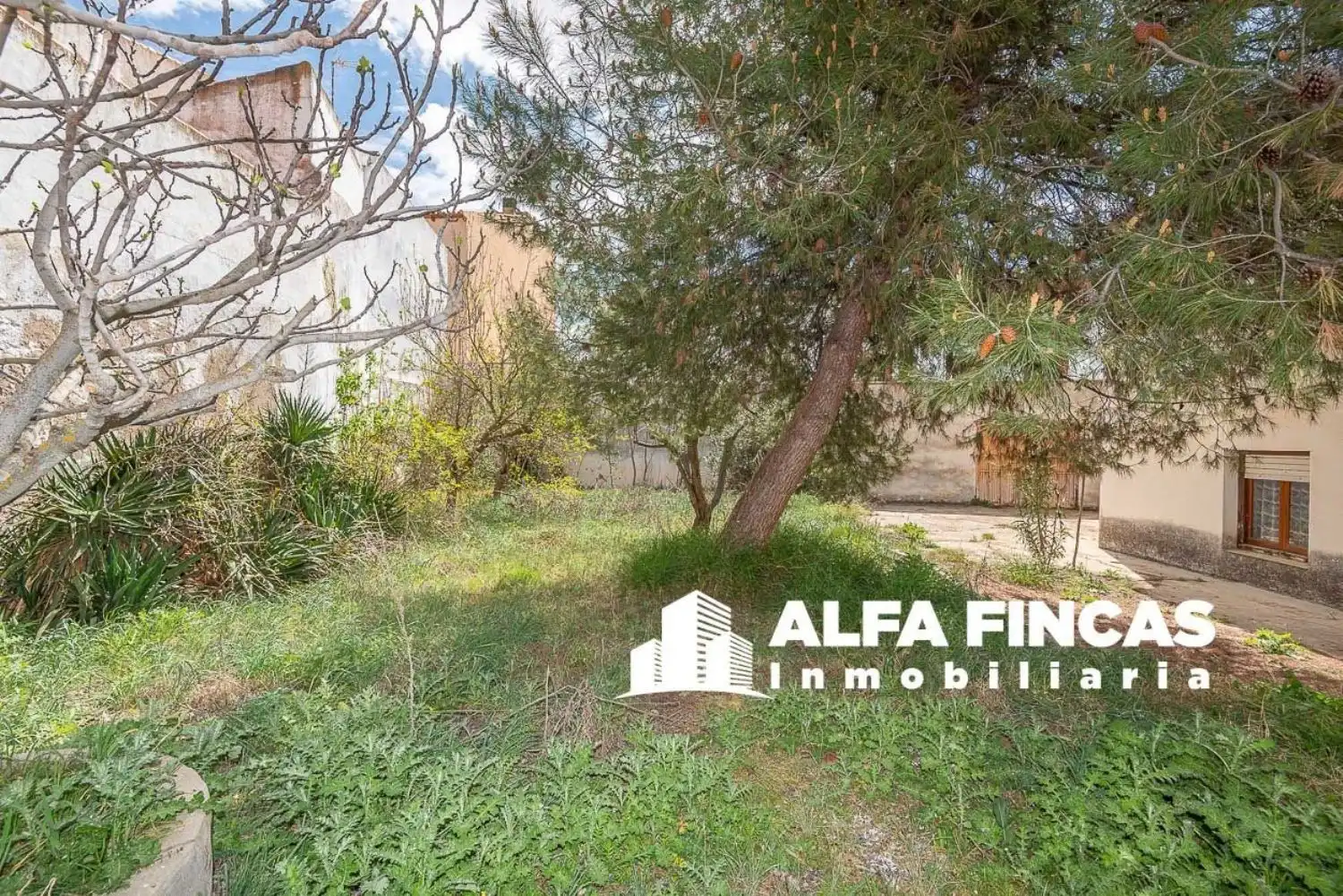 Casa o chalet en venta en Belmonte con Jardín privado y Balcón