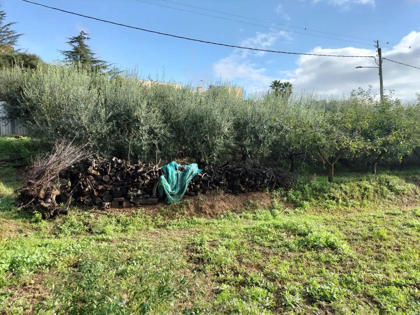 Terrain rustique à vendre à Els Hostalets de Pierola, imagen 3