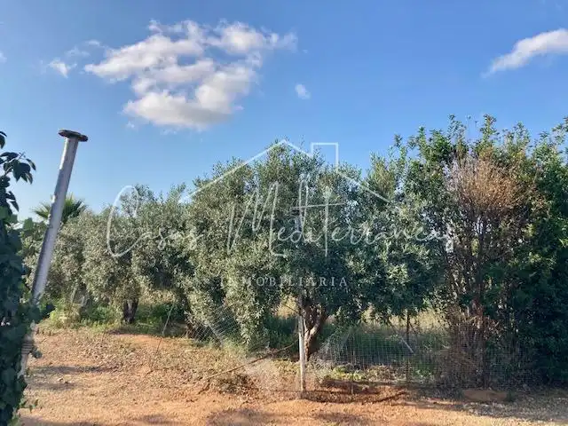 Country house for sale in Riudoms, imagen 17