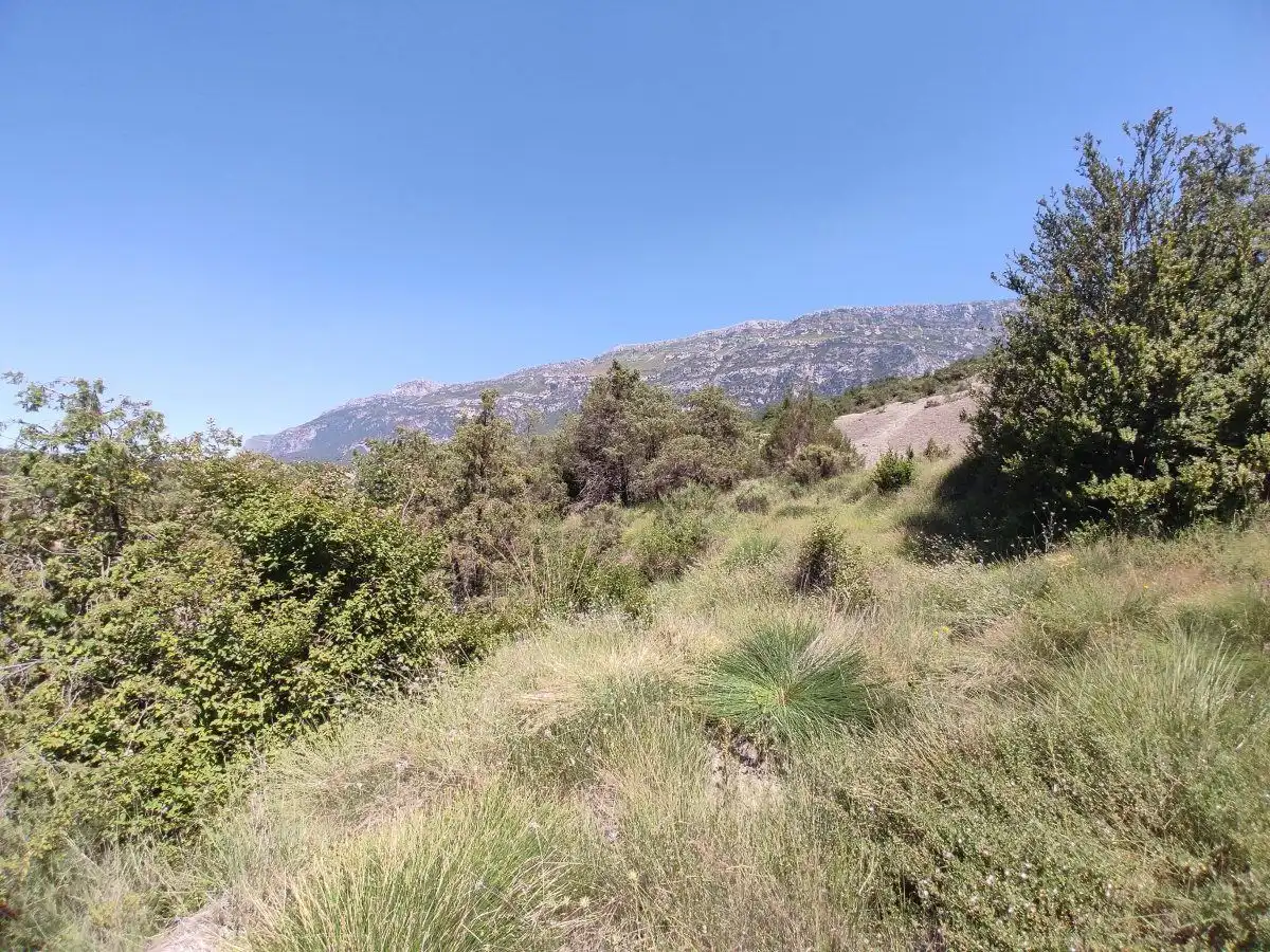 Country homes for sale in Foradada del Toscar