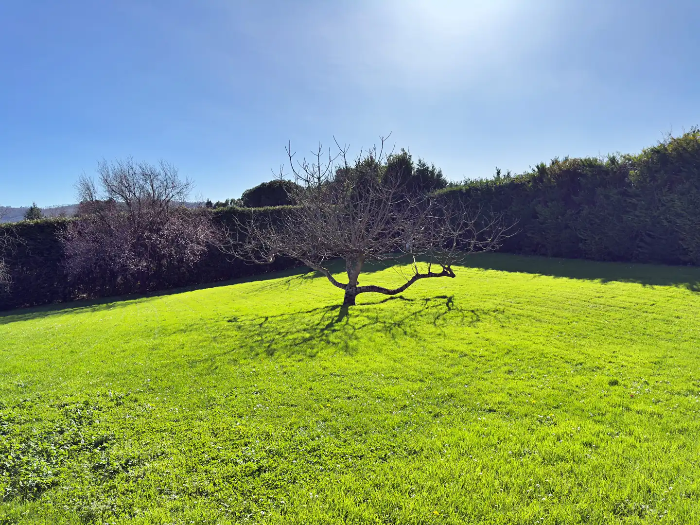 Casa o xalet en venda en Gijón  amb Calefacció, Parquet i Terrassa