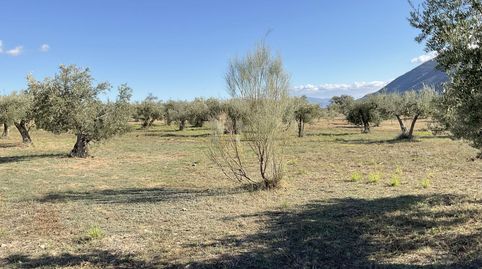 Exclusiva Finca Rústica en Padules Almería, immagine 3