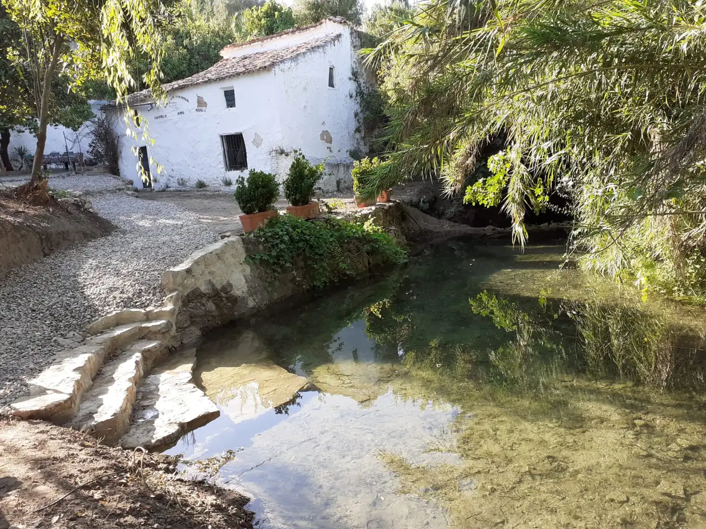 Terreny rústic en venda a Zahara
