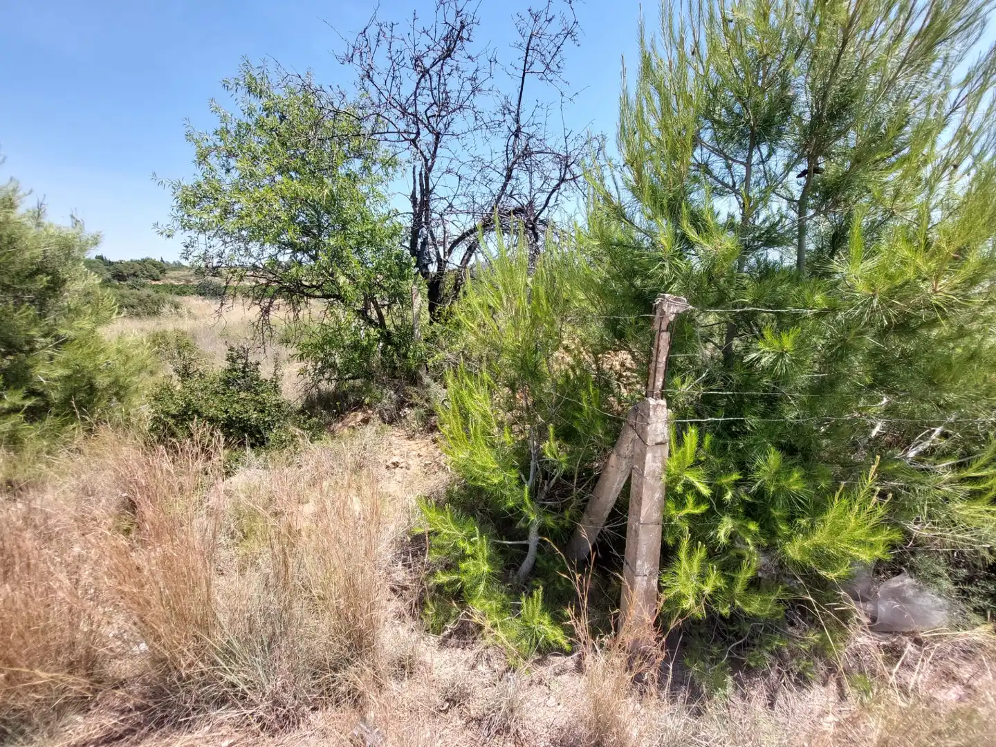 Terreno en venta en Náquera