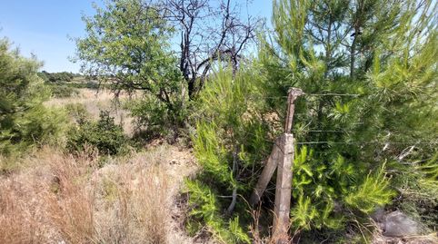 Foto 4 de Terreno en venta en Partida Cabec Bort 4, Corralet - Bonanza - Tres Rutas, Náquera