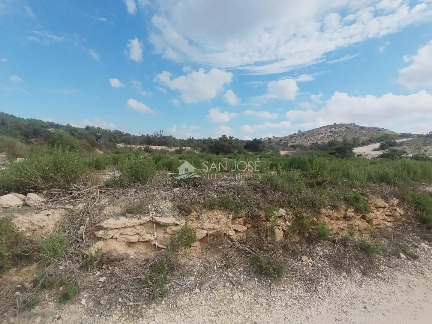 Residential land for sale in Aspe Centro