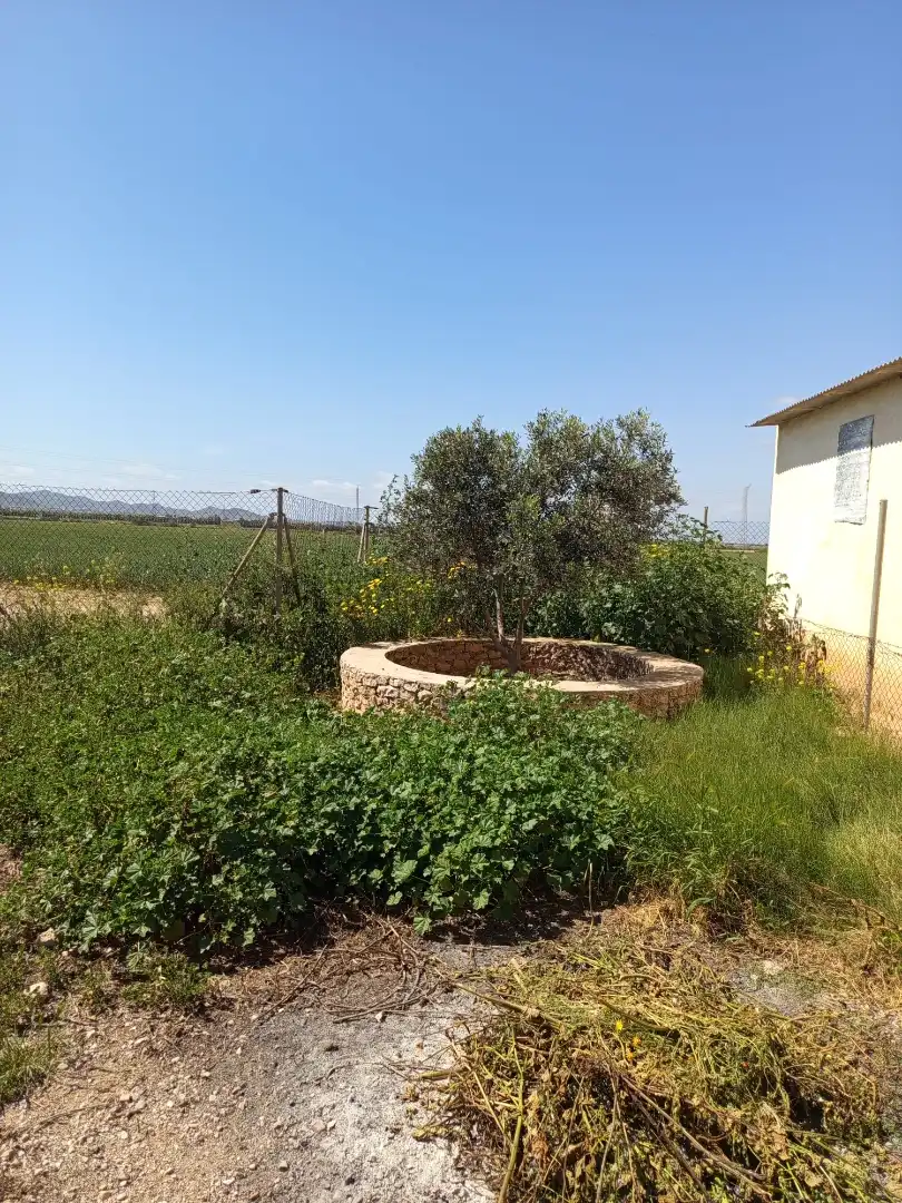 Nave industrial en venta en Fuente Álamo de Murcia