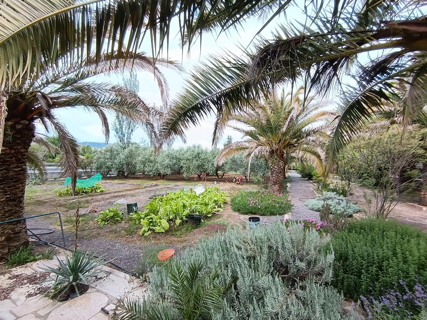 Jardín de Casa o chalet en venta en Brazatortas con Aire acondicionado, Calefacción y Jardín privado