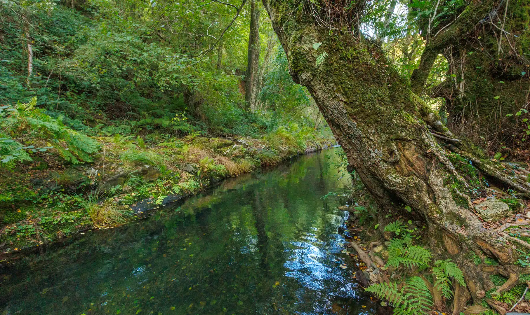 Vista exterior de Finca rústica en venta en Ourol con Amueblado