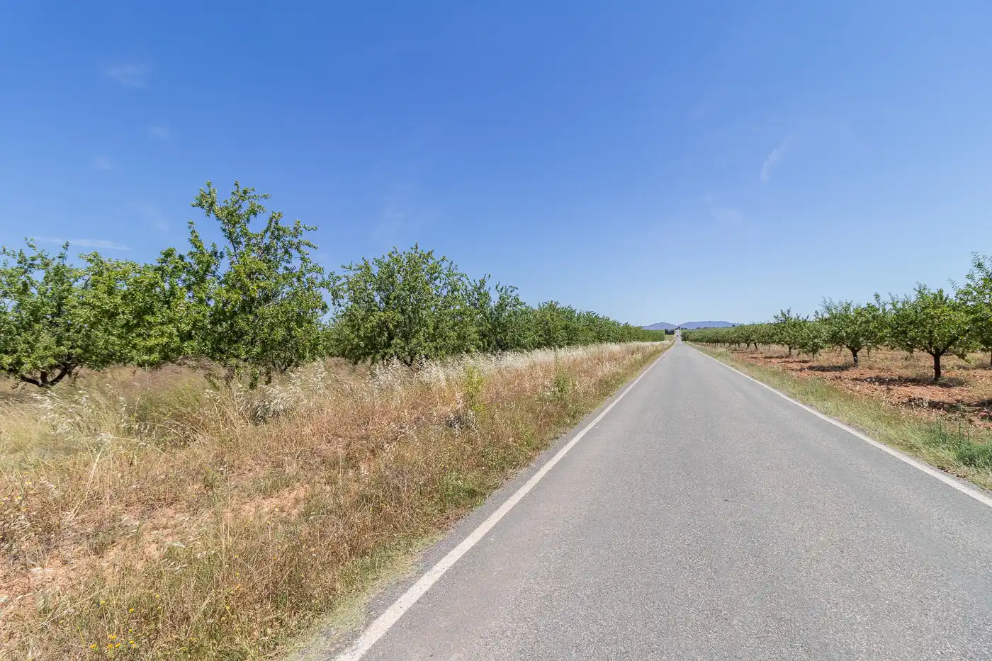Finca rústica en venda en Mula