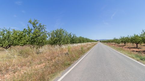 Foto 5 de Finca rústica en venda a Mula, Murcia