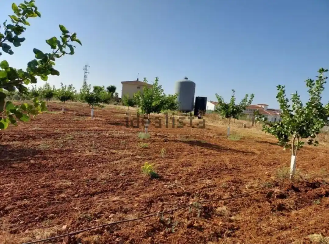 Rural land for sale in Sur, imagen 6