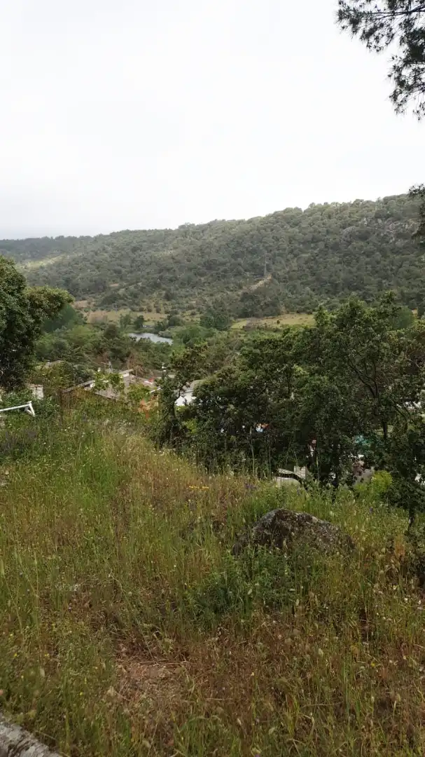 Residential land for sale in Calle Fuente la Peluquera 358
