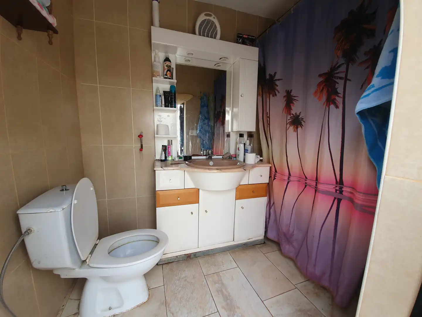 Bany de Casa o xalet en venda en Guadix amb Jardí privat i Terrassa