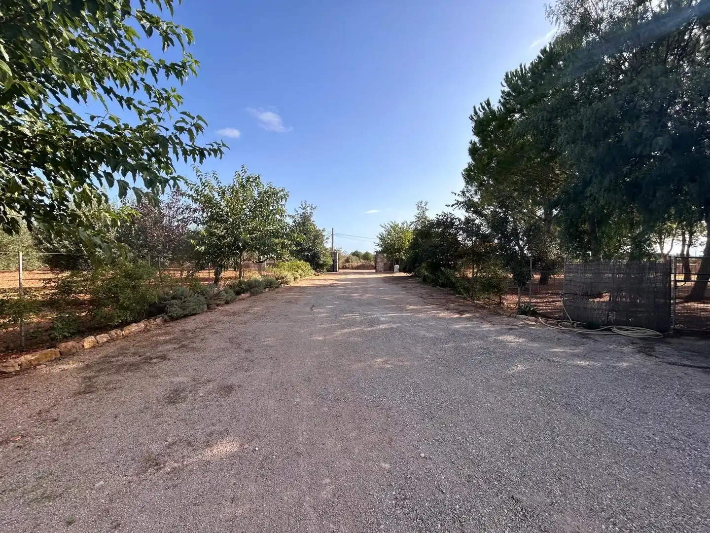 Country homes for sale in Felanitx Poble
