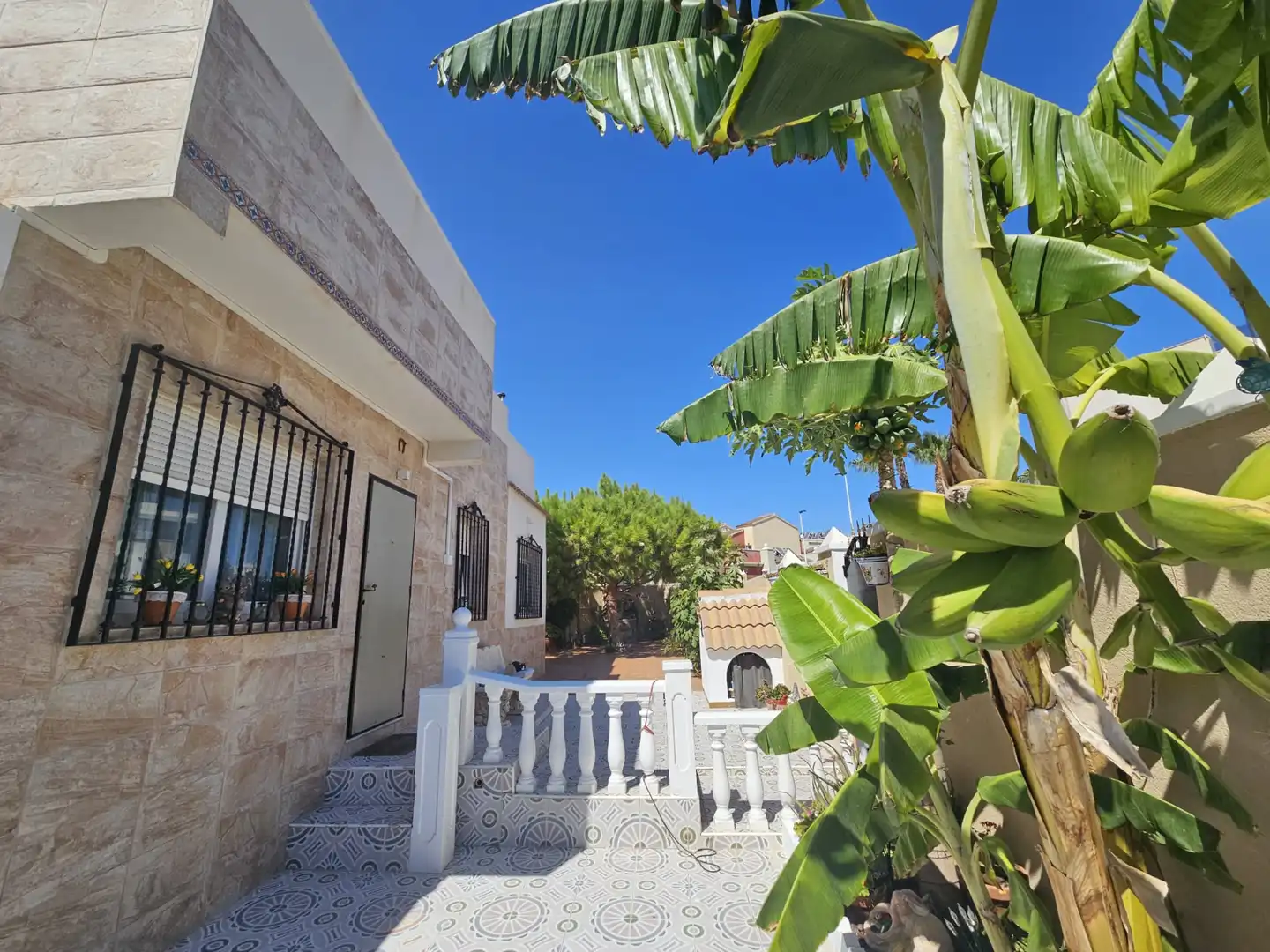 Vista exterior de Casa o chalet en venta en Torrevieja con Aire acondicionado, Jardín privado y Terraza