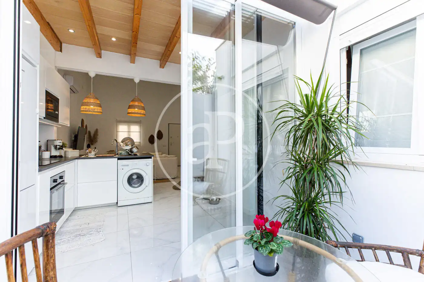 Vista exterior de Casa o chalet en venta en  Palma de Mallorca con Aire acondicionado, Calefacción y Jardín privado