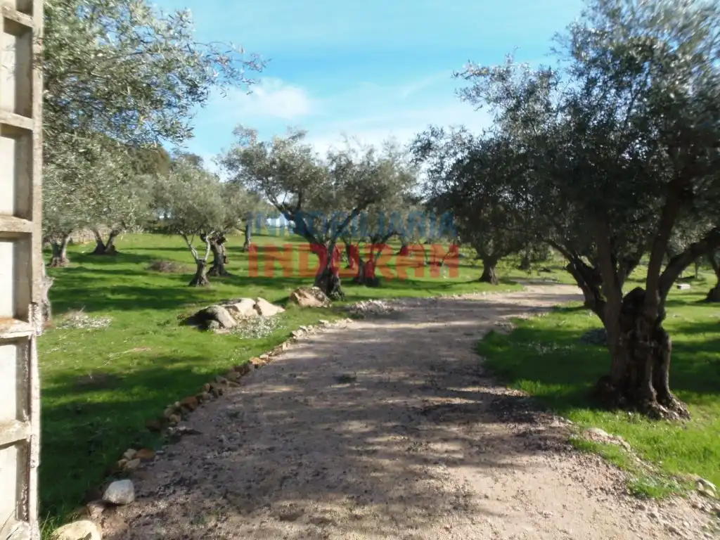Casa rústica en venda a Belvís de Monroy