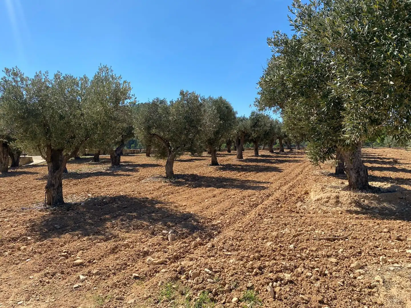 Casa o chalet en venta en Alcañiz con Terraza