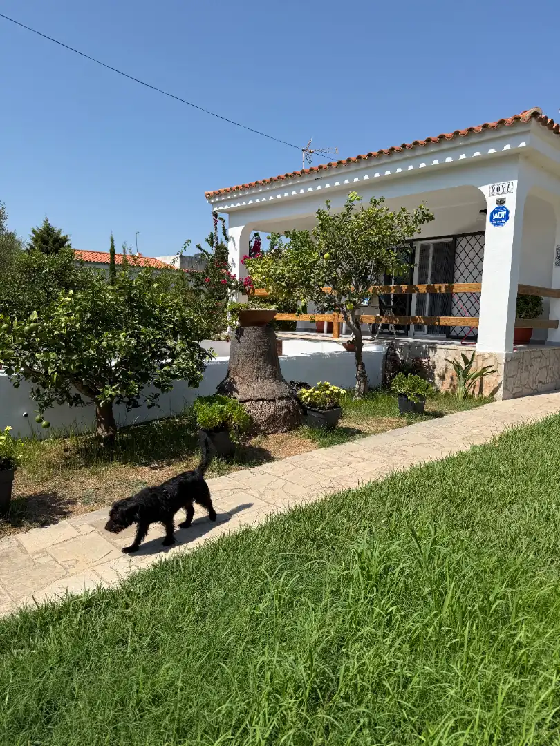 Jardín de Casa o chalet en venta en Vinaròs con Aire acondicionado, Calefacción y Jardín privado