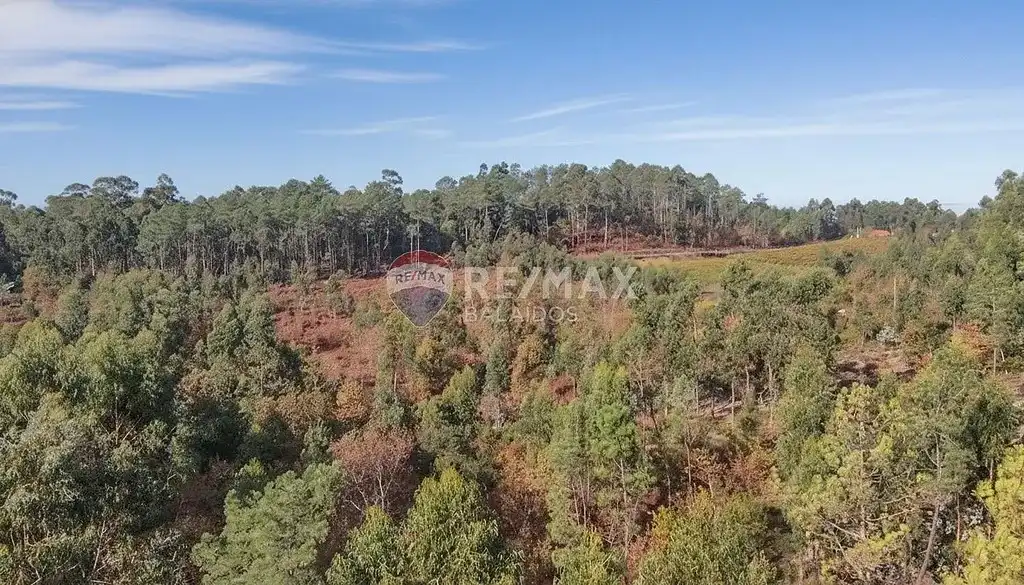 Terreny residencial en venda a Salvaterra de Miño, imagen 12